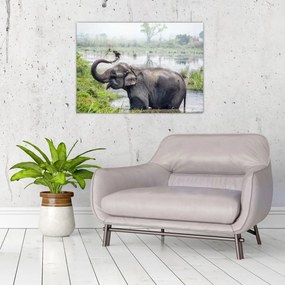 Tablou - Elefant de scăldat (70x50 cm)