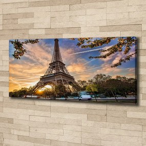 Tablou pe pânză canvas Turnul eiffel din paris