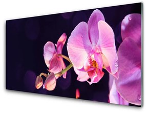 Tablouri acrilice Flori Floral Roz Violet