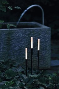 Tarus LED iluminat exterior IP65 Twiggy sphere pt H-65cm negru