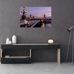 Tablou - Podul lui Alexandru al III.-lea din Paris (90x60 cm)