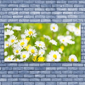 Tablou pe panza canvas Daisy Floral Galben Alb