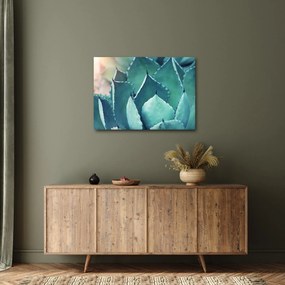 Tablou - Suculent (70x50 cm)