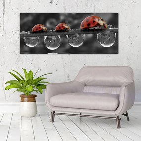 Tablou - Floarea-soarelui, alb și negru (120x50 cm)