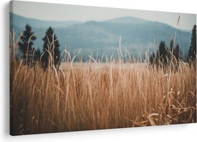 Tablou - detaliu spațiului de luncă (90x60 cm)