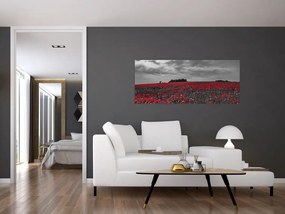 Tablou cu maci (120x50 cm)