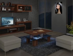 Masă de cafea Sudbury 2 (prun + Negru lucios). 780023