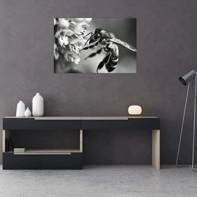 Tablou - Detaliu de albină (90x60 cm)