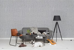 Fototapet, Plain Concrete, Light Grey, Rebel Walls