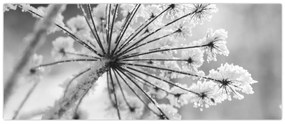 Tablou - Floare în timpul iernii (120x50 cm)