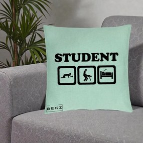 Perna Decorativa Student Life, 40x40 cm, Verde Menta, Husa Detasabila, Perna Inclusa, BEKZ®