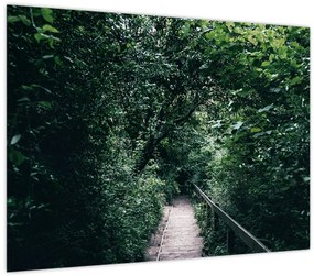 Tablou pe sticlă - Drumul prin pădure (70x50 cm)