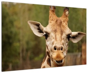 Tablou girafe (90x60 cm)