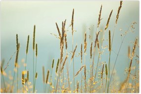 Tablou - Luncă (90x60 cm)