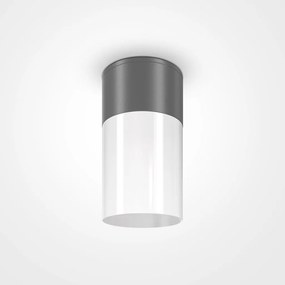 Spot aplicat, plafoniera pentru iluminat exterior IP54 Willis gri