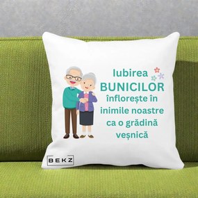 Cadou pentru Bunici - Perna Personalizata Bunicii Iubirea Infloreste Cuplu Senior Teal, 40x40 cm, Alba Mata, Husa Detasabila, Perna Inclusa, BEKZ®