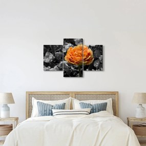 Tablou cu floare (90x60 cm)