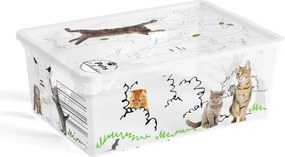 Cutie de depozitare albă din plastic cu capac 37x26x15 cm C Box Style – KIS