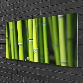 Tablou pe sticla Bamboo Natura Verde