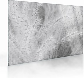 Tablou pe sticlă - Iarbă de pampas N⁰1 (70x50 cm)