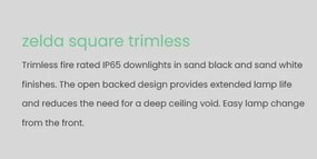 Spot incastrabil rezistent foc protectie IP65 Zelda Trimless Square negru