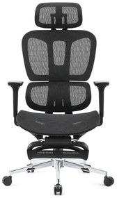 ERGOTHRONE Scaun ergonomic, cotiere 2D, suport picioare, Full Mesh, Negru