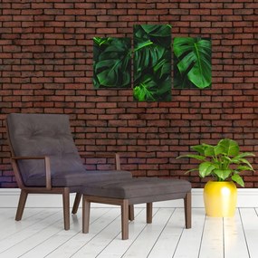 Tablou cu frunze Monstery (90x60 cm)