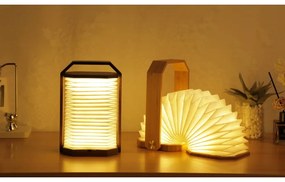 Decorațiune luminoasă albă/în culoare naturală închisă cu USB Origami – Gingko