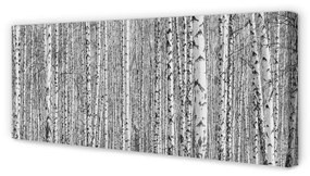 Tablouri canvas copac pădure alb-negru