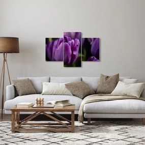 Tablou cu flori de lalele (90x60 cm)