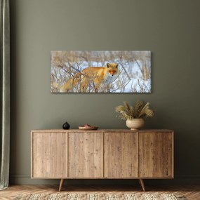 Tablou - Vulpe (120x50 cm)