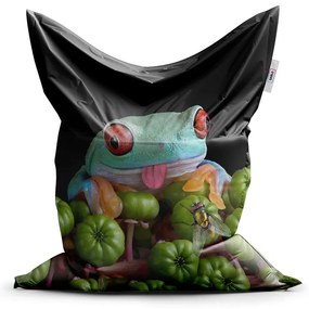 Sac de șezut Classic broască veselă, verde / negru