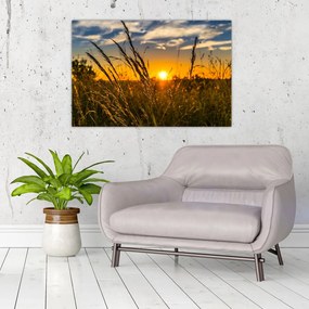 Tablou cu câmp în apus de soare (90x60 cm)