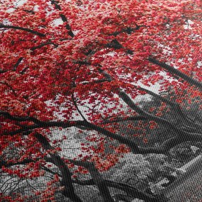 Tablou - Copacii roșii, Central Park, New York (150x105 cm)