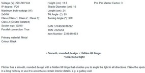 Spot aplicat tavan directionabil Pitcher 2L negru