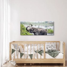 Tablou - Elefant de scăldat (120x50 cm)