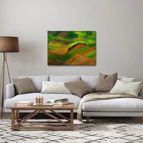 Tablou - Lan, luncile (70x50 cm)