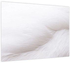 Tablou - Detalii pene (70x50 cm)