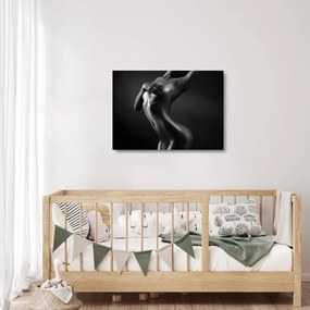Tablou pe sticlă - Femei nud (70x50 cm)