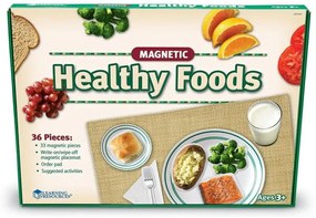 SET MAGNETIC - ALIMENTE SANATOASE - LEARNING RESOURCES (LER0497)