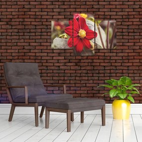 Tablou cu floare (90x60 cm)