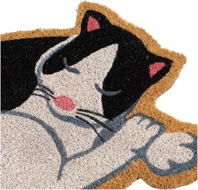 Covoraș de intrare din fibre de nucă de cocos 40x60 cm Cat – Casa Selección