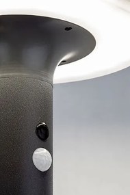 Aplica LED solara cu senzor iluminat exterior IP44 Alaska