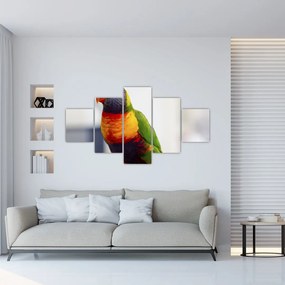 Tablou cu papagal (125x70 cm), în 40 de alte dimensiuni noi