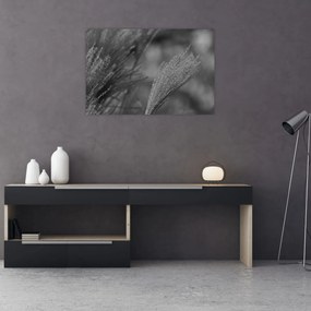 Tablou - Iarbă de pampas uscată (90x60 cm)