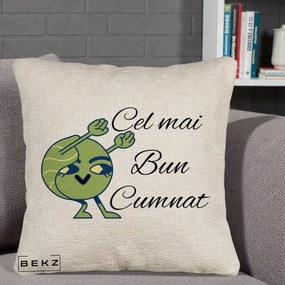 Cadou pentru Cumnat - Perna Personalizata Cel mai Bun Cumnat cu Personaj Funny Verde, 40x40 cm, Bej Canapea, Husa Detasabila, Perna Inclusa, BEKZ®