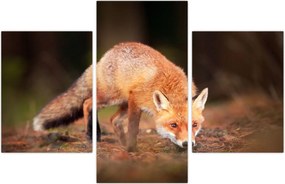 Tablou - Vulpe in pădure (90x60 cm)