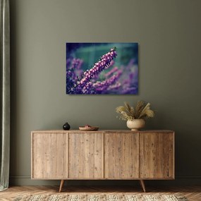 Tablou pe sticlă cu lavanda (70x50 cm)