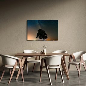 Tablou cu cerul nocturn și copaci (90x60 cm)
