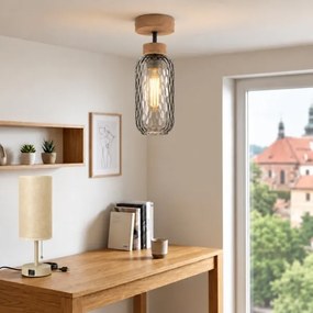 BRILAGI - LED lustru aplicat R GLASS 1xE27/60W/230V Ø 14 cm stejar/gri fumuriu